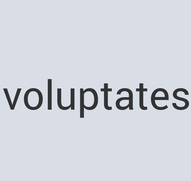 Durable Concrete Landscapel