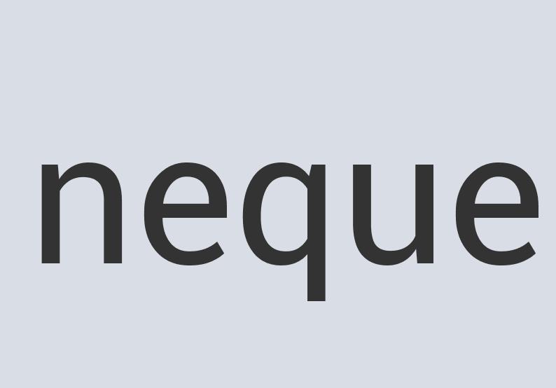 Aerodynamic Leather Fitcore