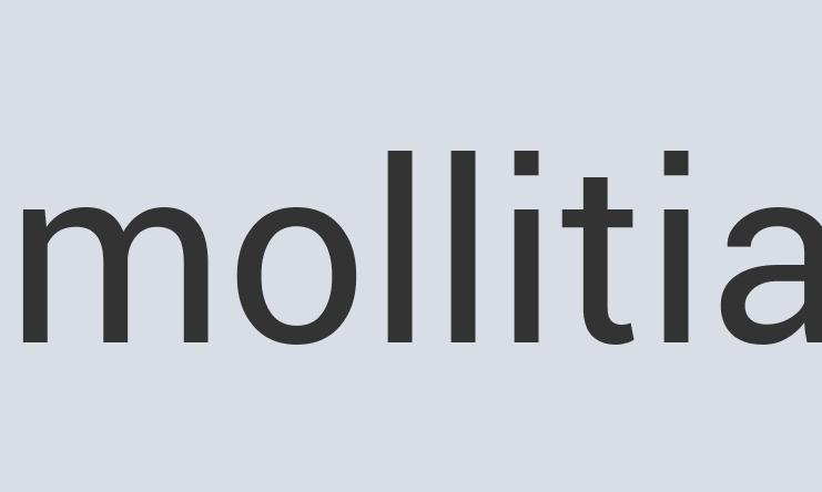 Incredible Plastic Quilch