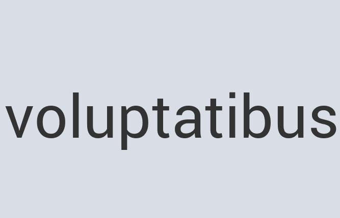 Awesome Wooden Sunsight